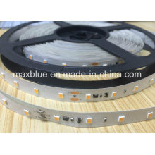 DC24V 300X2835SMD Tira de LED de corriente constante